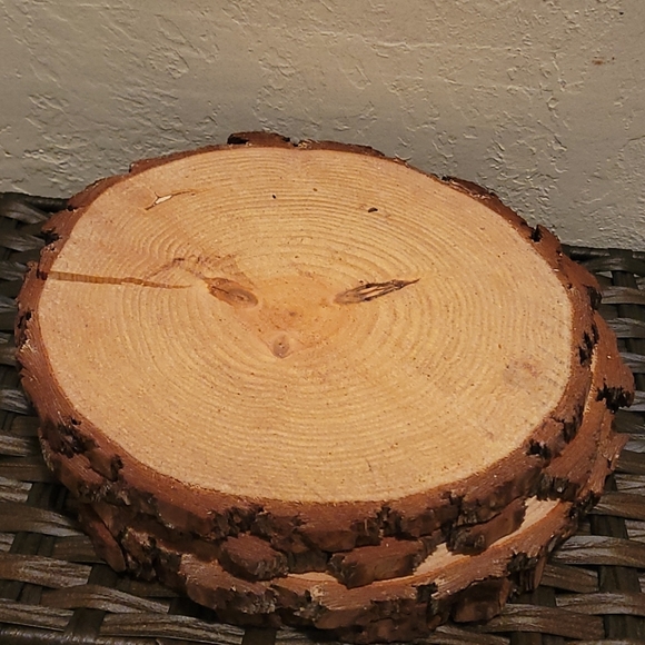 Other - Wood Slice Centerpieces